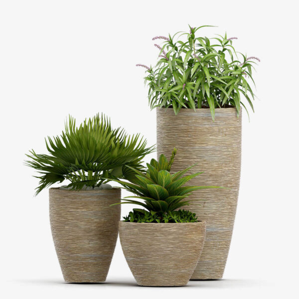Set de vase Tedo Organic Palm Ultra